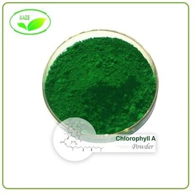 Chlorophyll A Powder